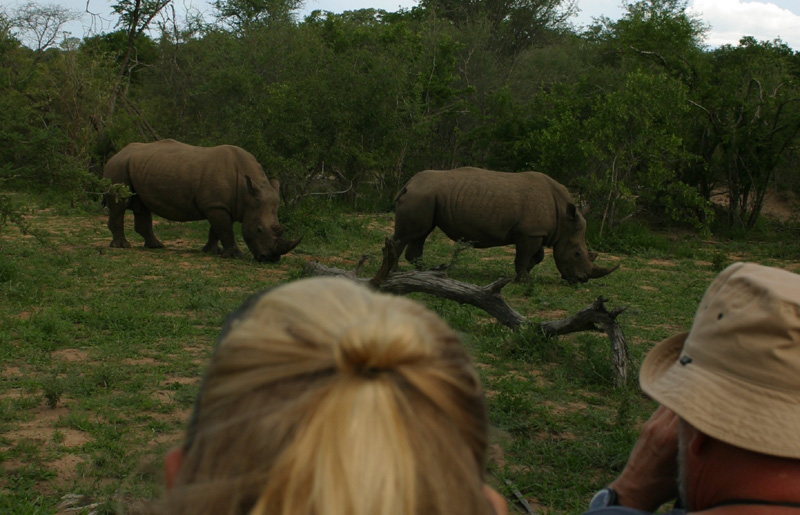 Rangerkurs und Field Guide Training in Südafrika